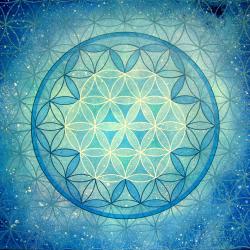 User Profile: NoMoreStars