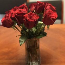 User Profile: modestOcean1286