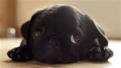 User Profile: Little1