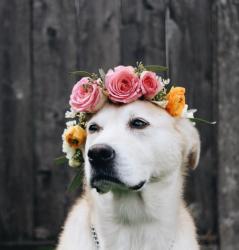 Profile: AutumnTea3