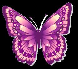 User Profile: Lily199