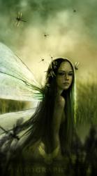 User Profile: Dragonfliesfairy
