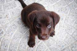 User Profile: modestWillow4074