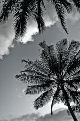 User Profile: AveryChristian02