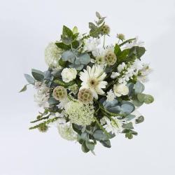 User Profile: Kindness111