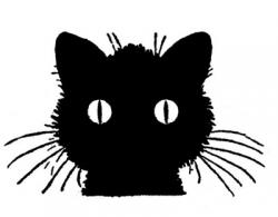 User Profile: WannaBe