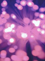 User Profile: SparkleGently