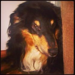 User Profile: OptimisticBanana2014