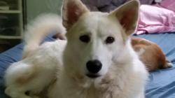 User Profile: CheddarPlz