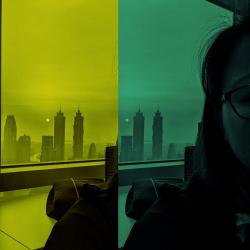 User Profile: limegreenTown5600