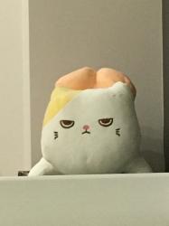 User Profile: karamelnoefrappe
