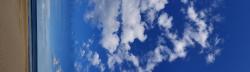 User Profile: disproportion