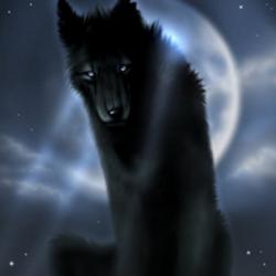 User Profile: WorriedWolf