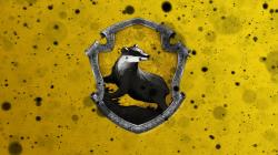 User Profile: Hufflepunk