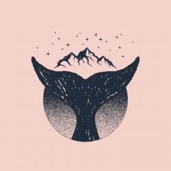 User Profile: Anonymouss3