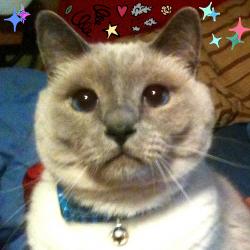 User Profile: gregariousBeach7416