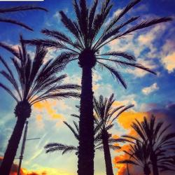 User Profile: beachyone
