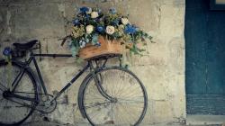 User Profile: RosesNGuns02