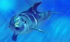 User Profile: BraveDolphin