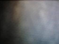 User Profile: Beardedj