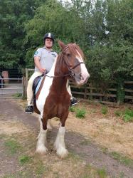 User Profile: Horseriding2018