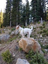 User Profile: passionateBunny2547