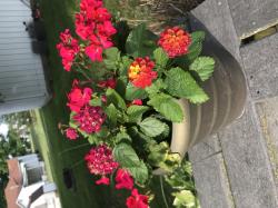 User Profile: Smallcactus265