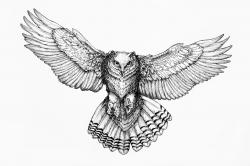 User Profile: phimble