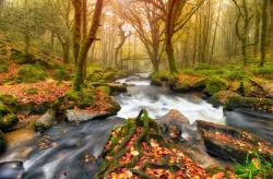 User Profile: fallingautumn