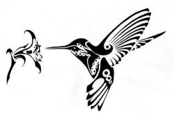 User Profile: ThunderBird20