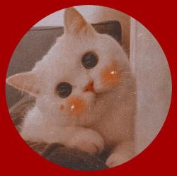 User Profile: Watchitburn23
