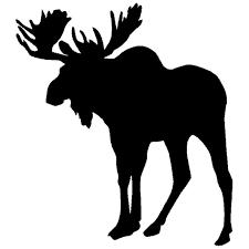 Profile: PleadingMooses