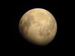 User Profile: MoonChild7667