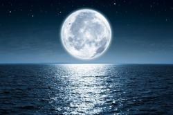 User Profile: moon811