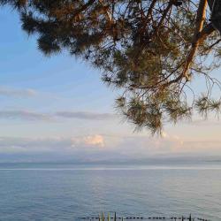 User Profile: tiredbubble00