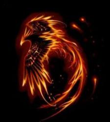 User Profile: OceanSiren18