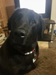 User Profile: Incrediblysad