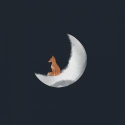 User Profile: BubblegumFox