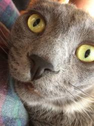 User Profile: DaisyJane