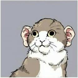 User Profile: KrazyKitten