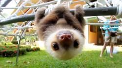 User Profile: SpiderSloth112