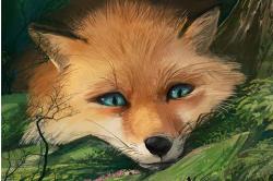 User Profile: MuscleFox