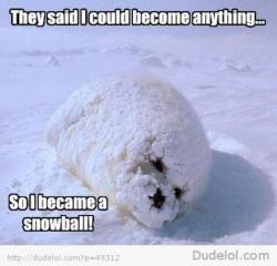 User Profile: SnowPup