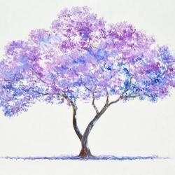 User Profile: SweetCranberry9481