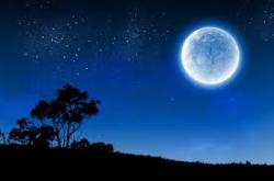 User Profile: Bluemoon1999