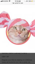 User Profile: WhatIfIWasACat
