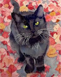 User Profile: Cattodnoir
