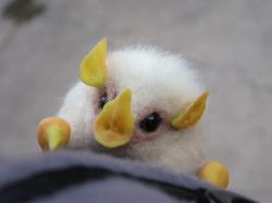 User Profile: yellowEyes4455