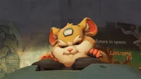 User Profile: HiMyNameIsHammondTheHamster