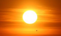 User Profile: oceansunlighthorizon